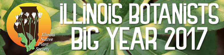 Illinois Botanists Big Year 2017